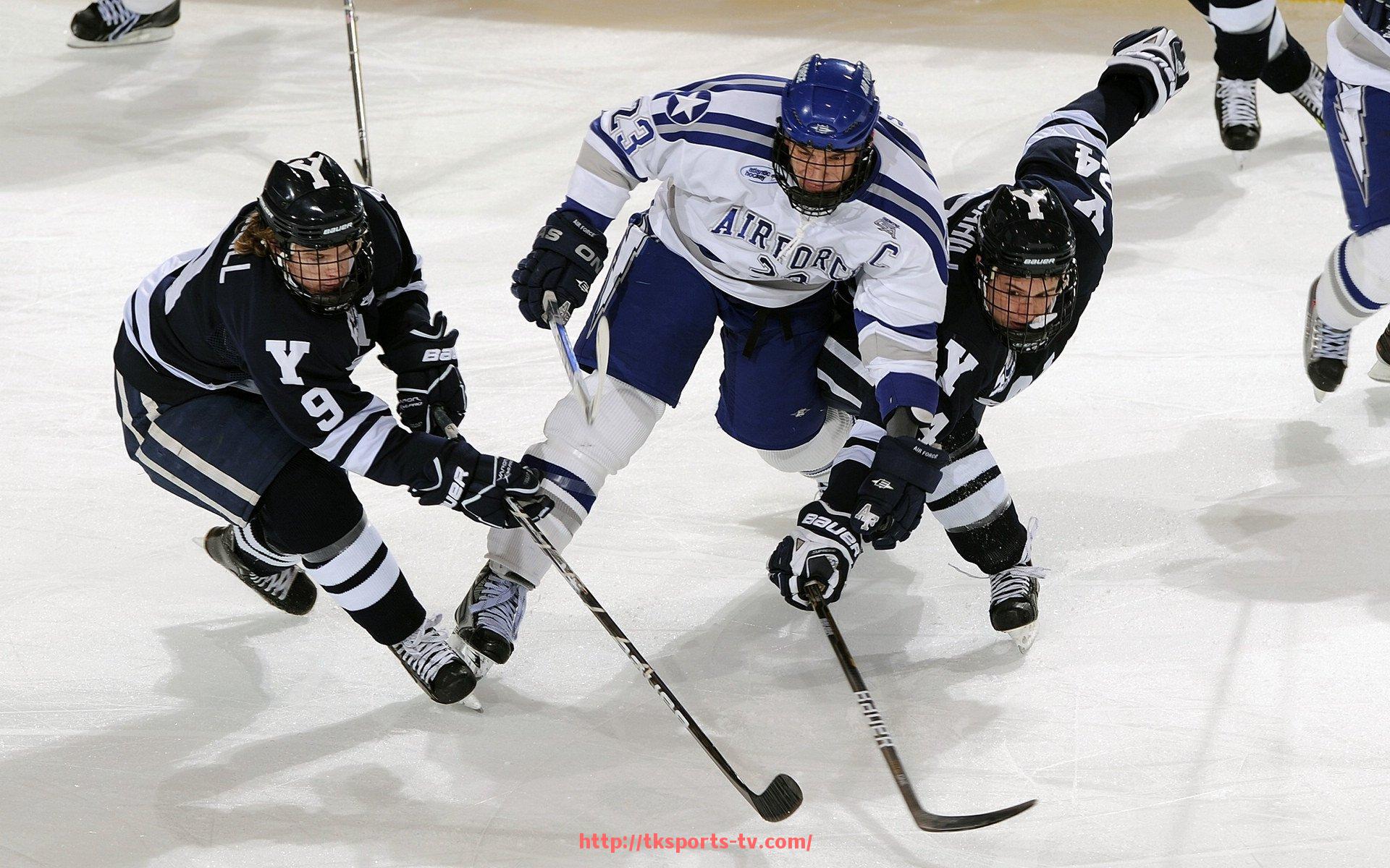 TK体育直播-世俱杯赞助商履约风险识别及防范措施研究