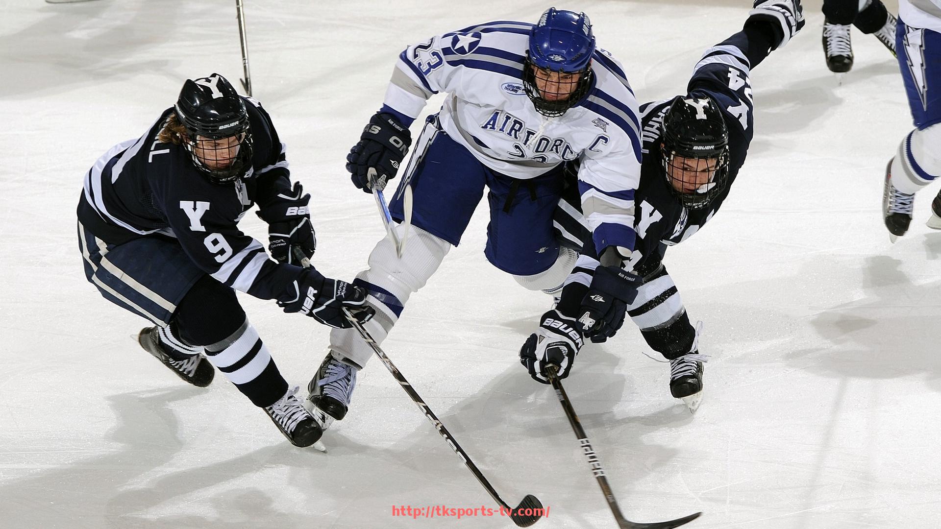 TK体育直播-投资高档健身器材馆的成本预算与回报分析